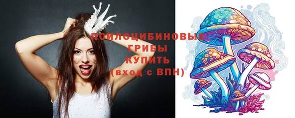 ALPHA PVP Нязепетровск